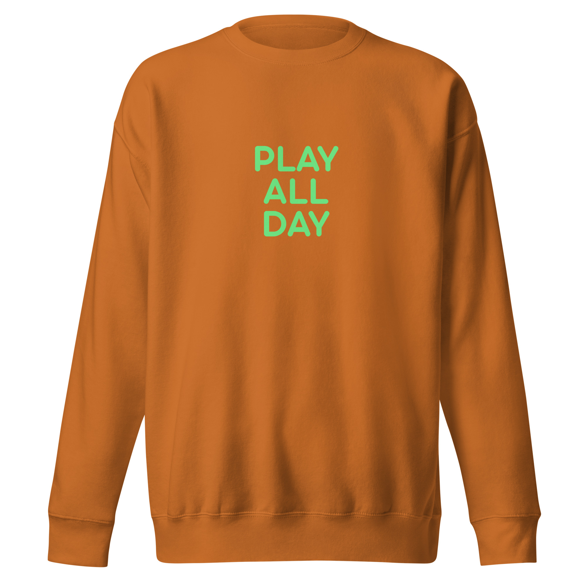 Unisex Premium Sweatshirt "PLAY ALL DAY" - Image 8