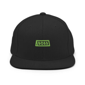 Alternative view of Snapback Hat