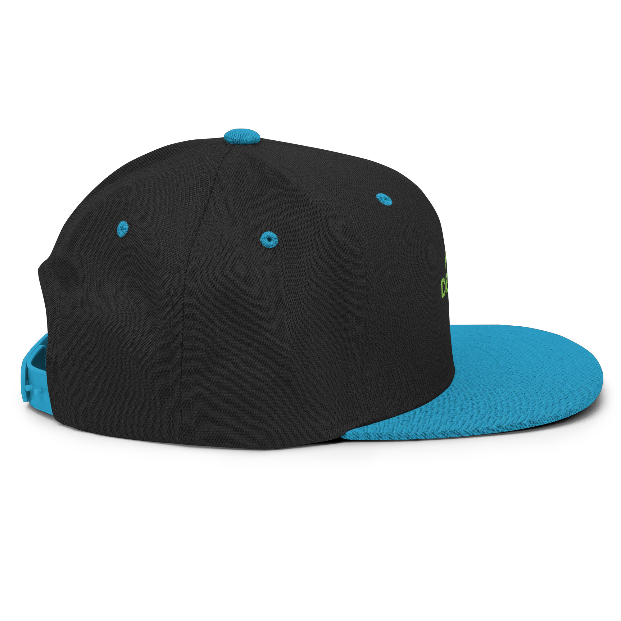 Snapback Hat - Image 68