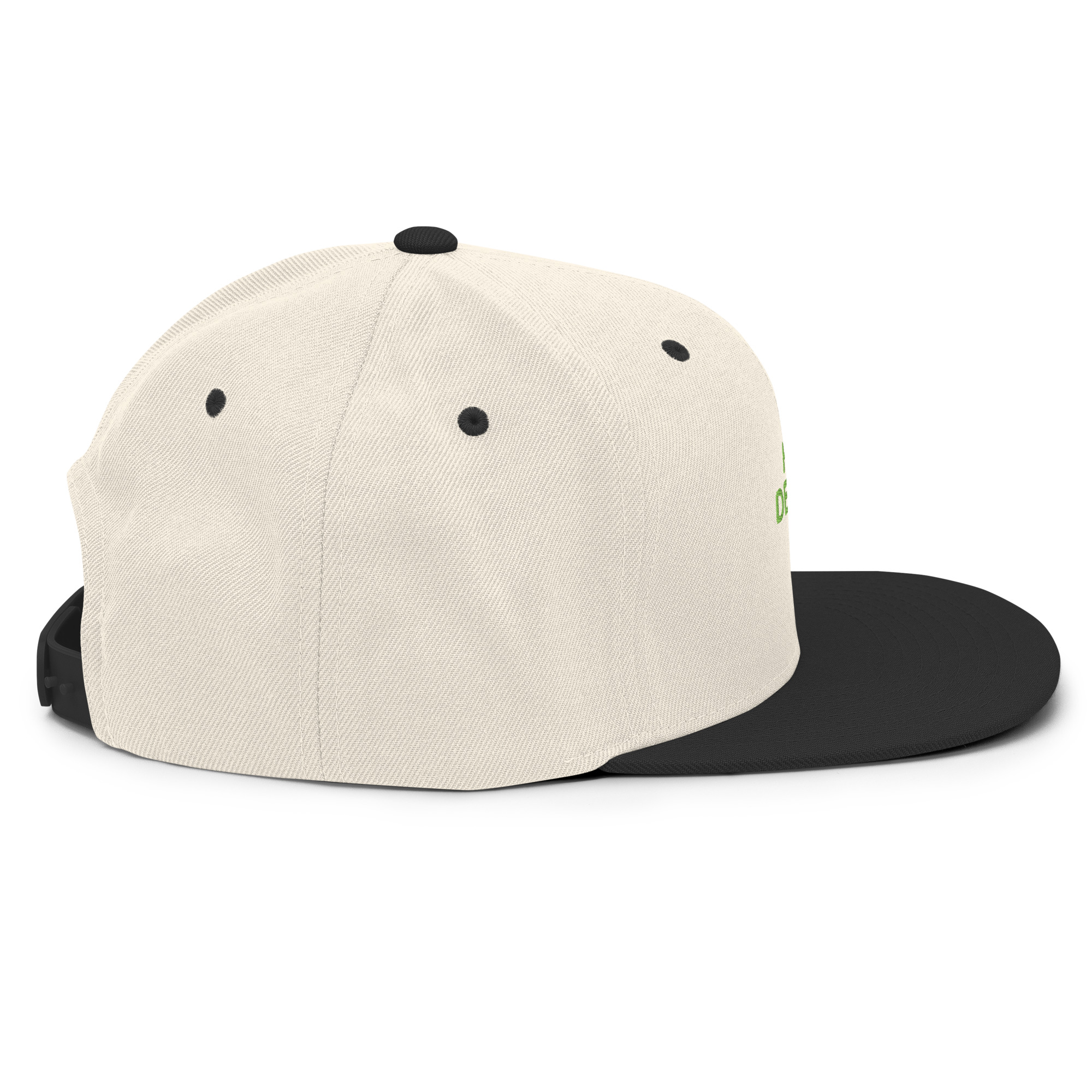 Snapback Hat - Image 83