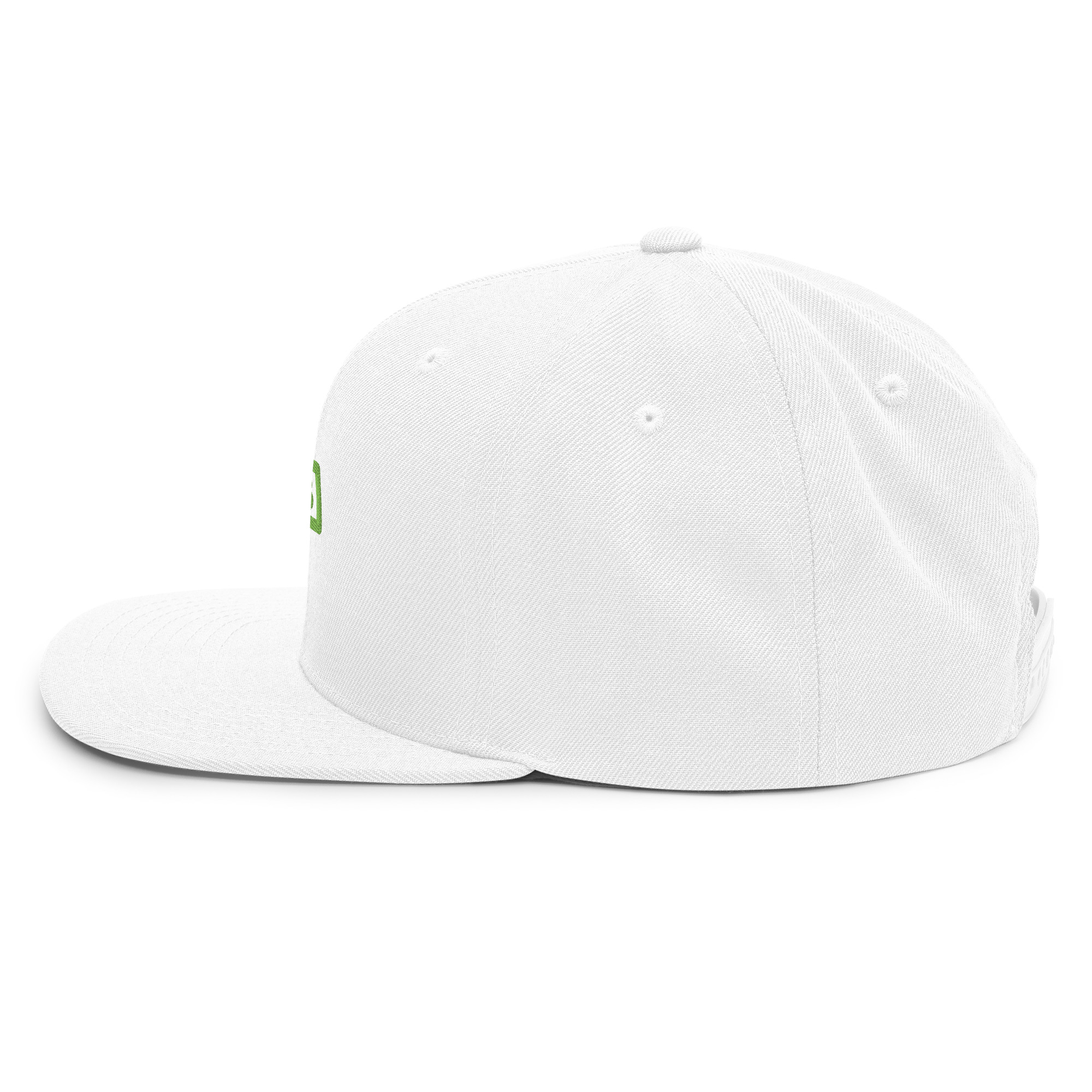 Snapback Hat - Image 42