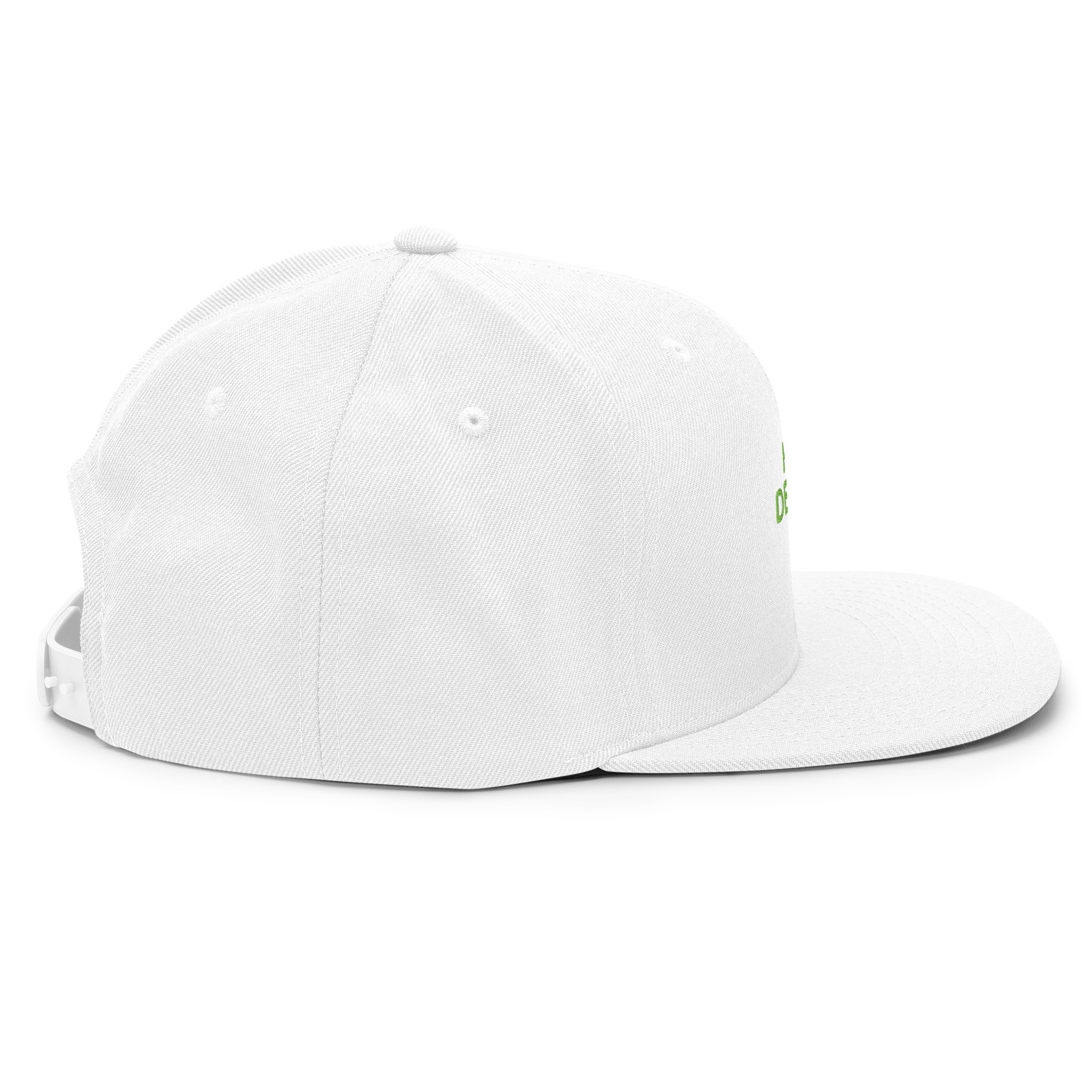 Snapback Hat - Image 84