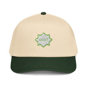 5 panel cap
