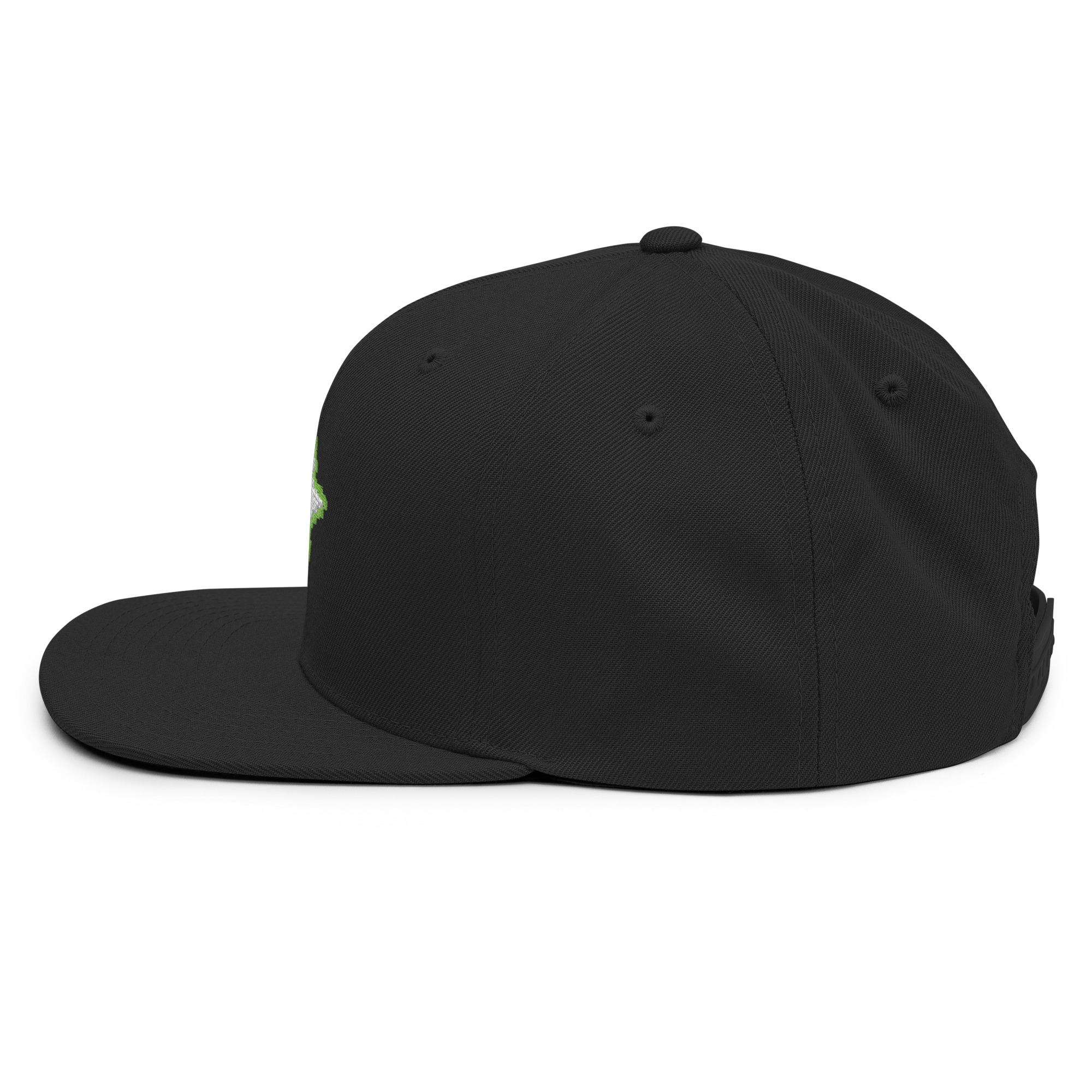 Snapback Hat - Image 22