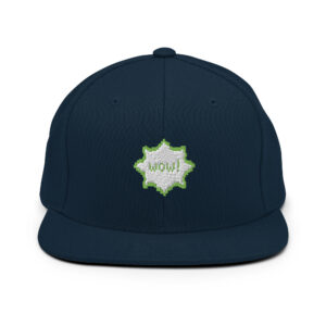 Alternative view of Snapback Hat