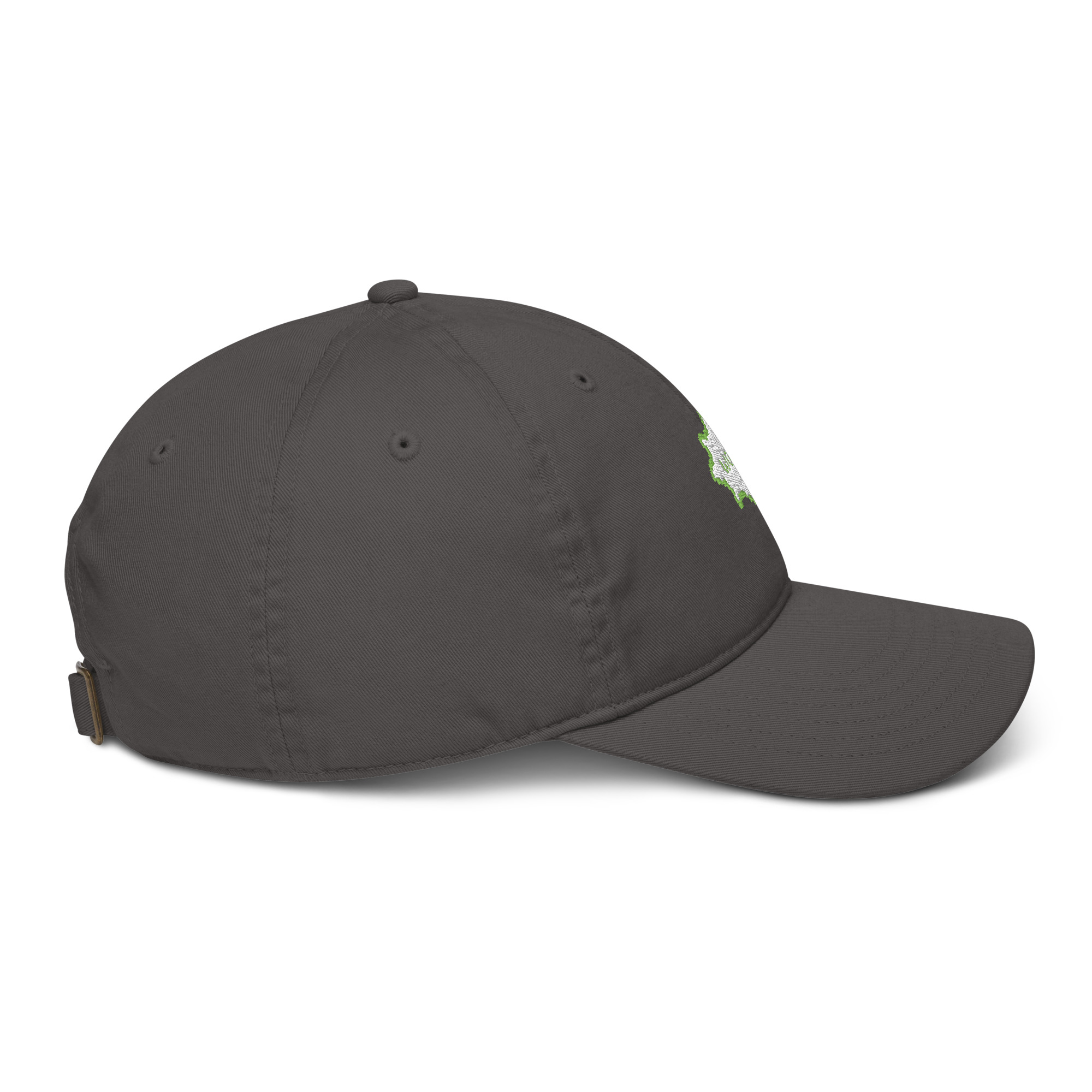 Organic dad hat - Image 13