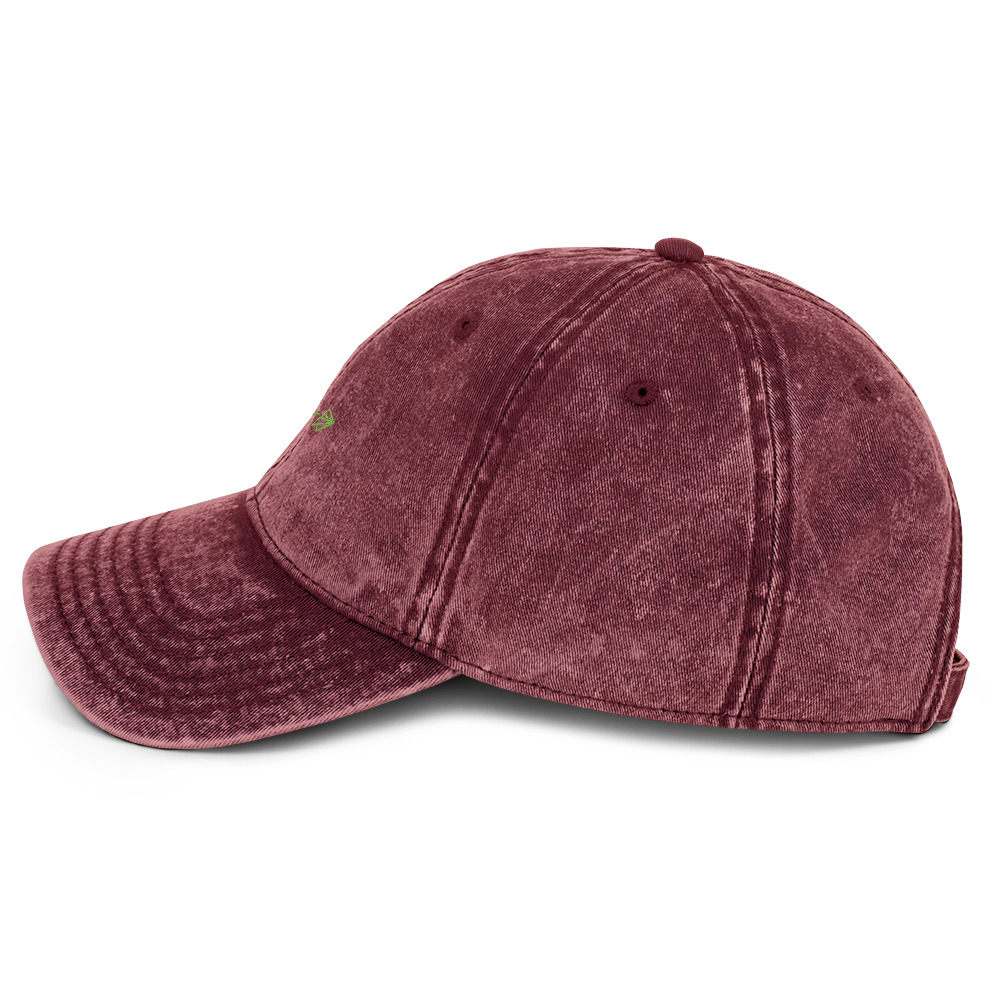 Vintage Cotton Twill Cap - Image 7